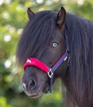 Islændergrime - Hellnar